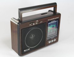 Радіоприймач GOLON RX-9966UAR - Великий портативний радіоприймач - колонка MP3 з USB і акумулятором Топ