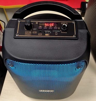 Портативна колонка RX-6168 з мікрофоном, акумуляторна Bluetooth-колонка з підсвіткою, потужна акустика 10 Вт