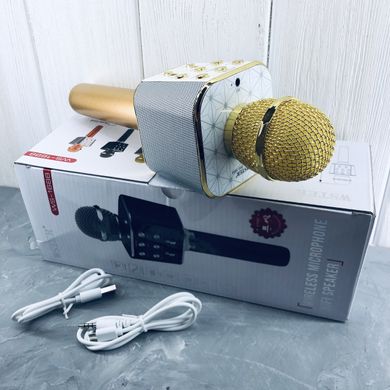 Мікрофон караоке WSTER WS-1688 - бездротової Bluetooth мікрофон з 5 тембрами голосу Топ