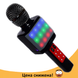 Мікрофон караоке WSTER WS-1828 - Бездротовий мікрофон караоке з динаміком і світломузикою Чорний, Черный