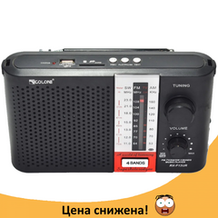 Радіоприймач Golon RX-F12UR Чорний - портативний радіоприймач - колонка MP3 з USB і акумулятором