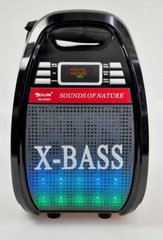 Колонка Golon RX 810 з мікрофоном - портативна Bluetooth колонка з радіо і світломузикою Топ