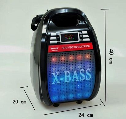 Колонка Golon RX 810 з мікрофоном - портативна Bluetooth колонка з радіо і світломузикою Топ